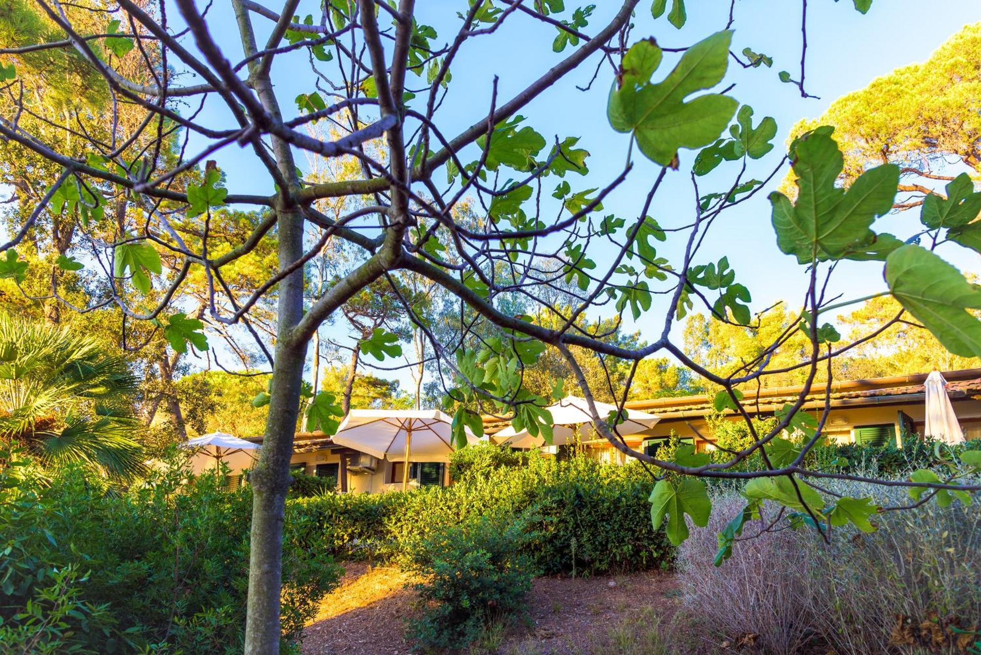Hotel Villa Ottone 포르토페라이오 외부 사진